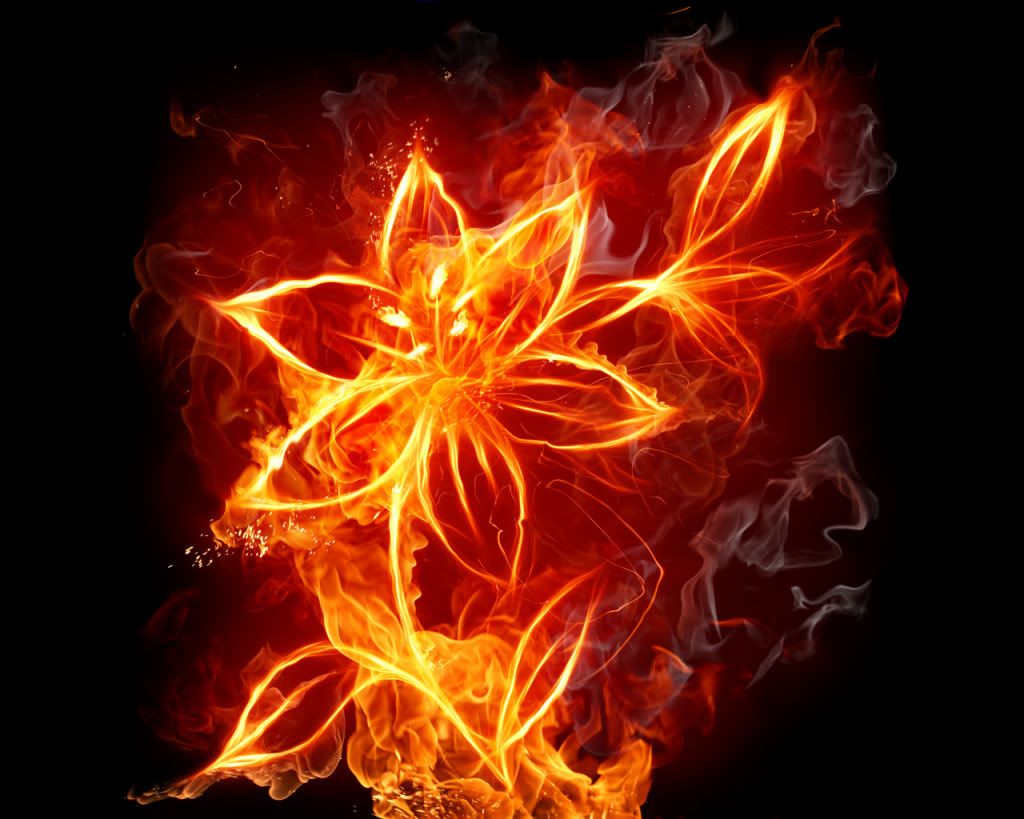 fiery_flower_02.jpg