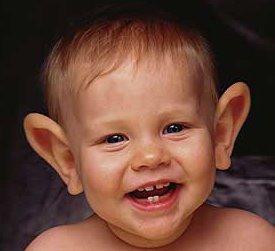 Oreja.jpg