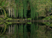reflejosenelagua_zpsaac0953f.gif