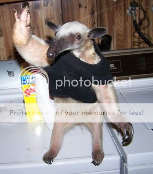 highfive64029.jpg
