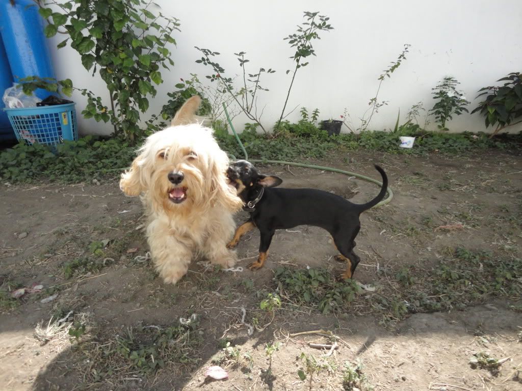DSC00040.jpg