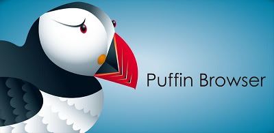 puffin-1.jpg