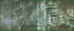 separes10_film.jpg