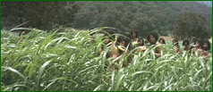 2f04a_film.jpg