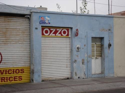 ozzo.jpg