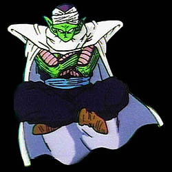 piccolo.jpg