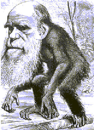 darwin.gif