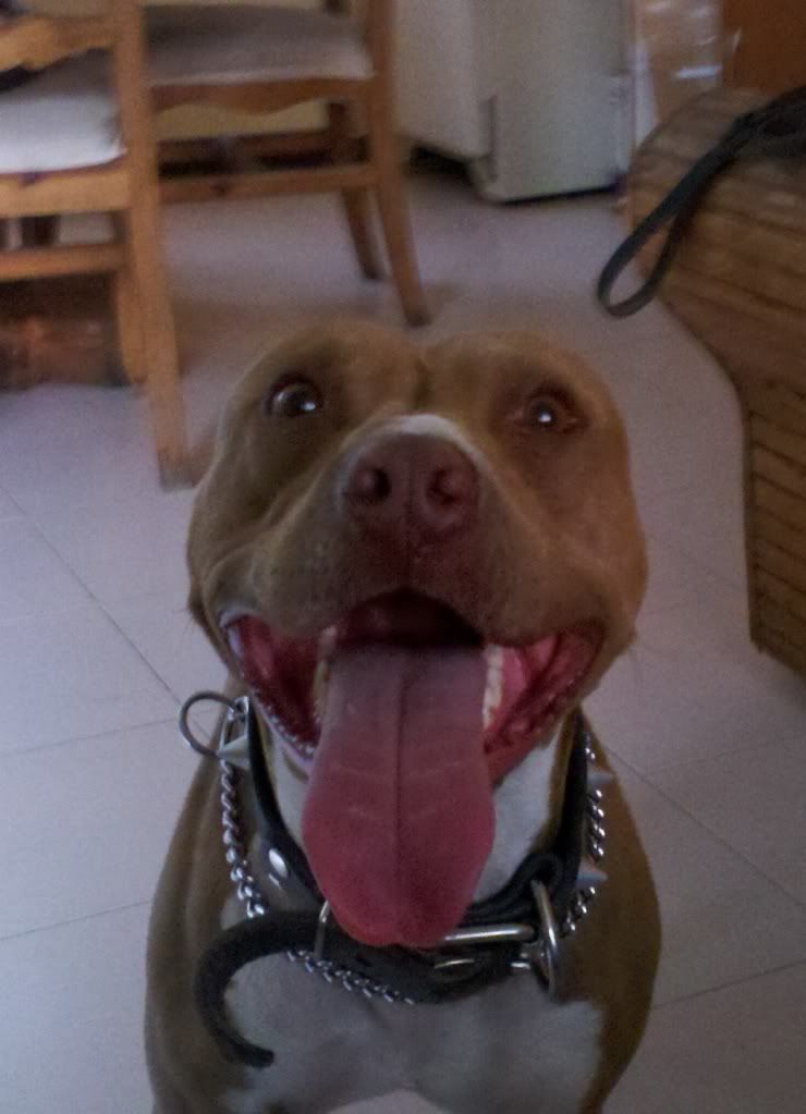 Cirilo1.jpg
