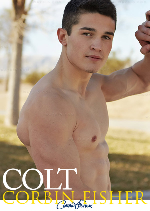 Colt.jpg