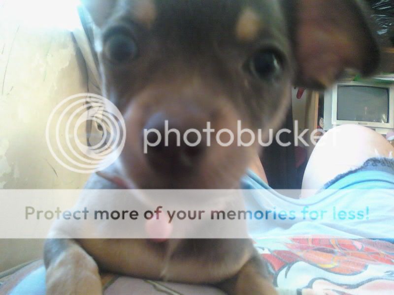 100710_195526.jpg