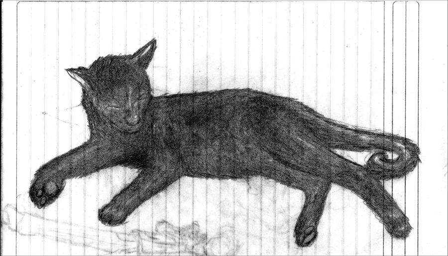 gato_01_by_juracan-d3510v9.jpg