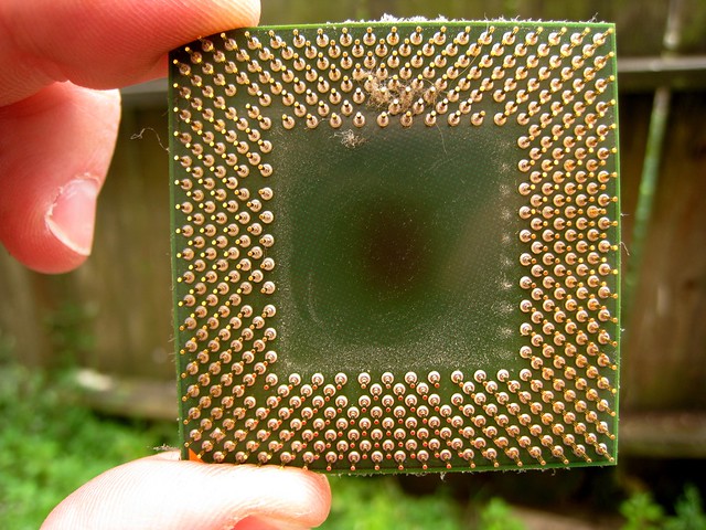 2507701230_353fd2fae6_z.jpg