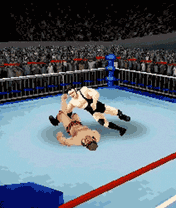46089_176_208_0.gif