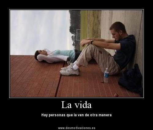 vidaaa.jpg