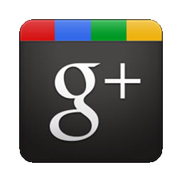 13109085462_Google-plus.jpg