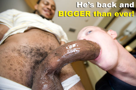big1.jpg
