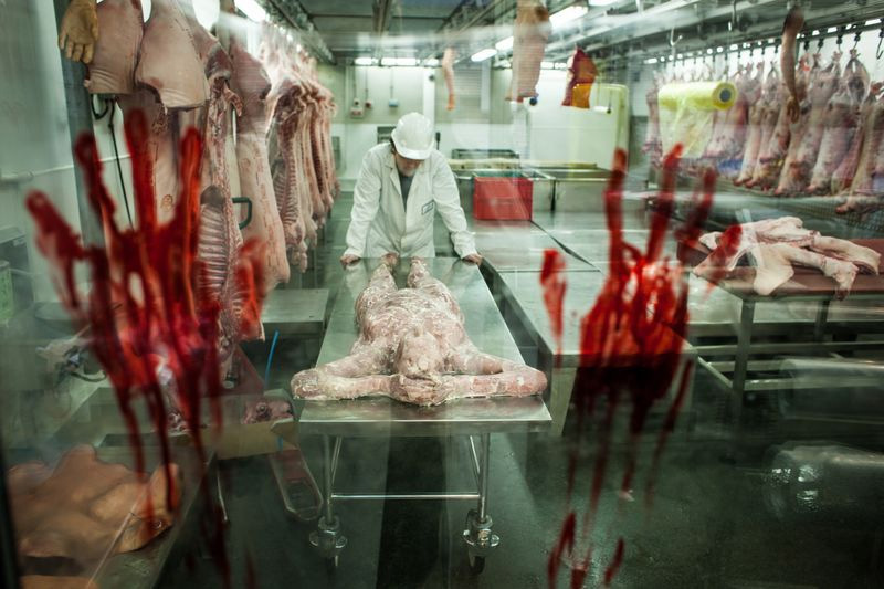 comer-carne-humana.jpg
