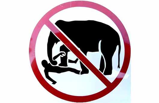 strange_signs_12-119b08f.jpg