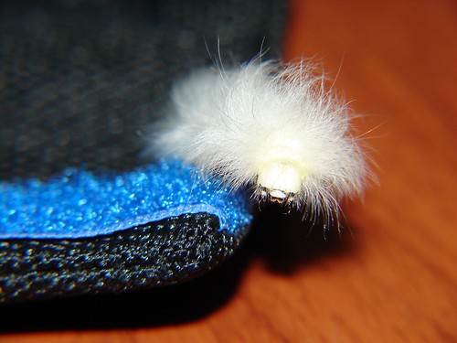 1804739275_41bb35c09e.jpg