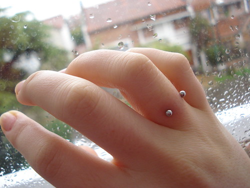 3013136477_393fded883.jpg