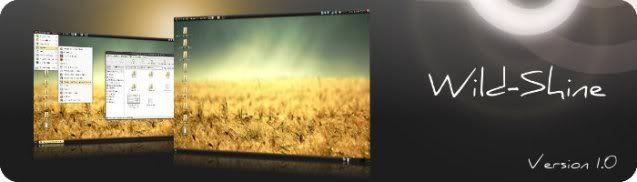 wild-shine-presentation.jpg