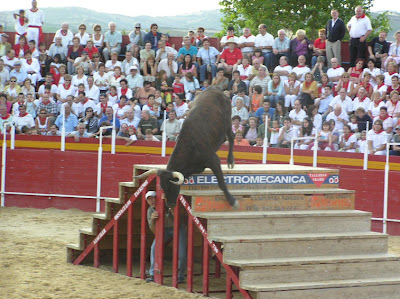 vaca+en+escalera.JPG