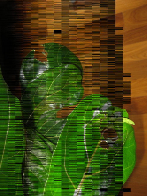tumblr_l1ytfe4sCa1qbotufo1_500.jpg