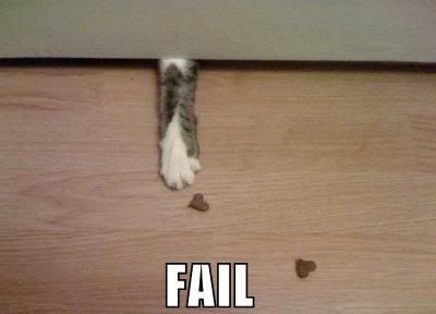 funny-pictures-fail-cat-paw.jpg