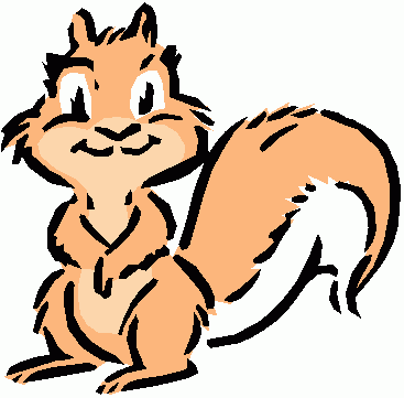 Ardilla2.gif