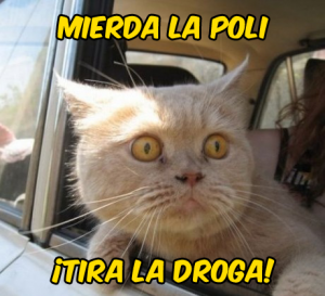 mierda-la-poli-300x273.png
