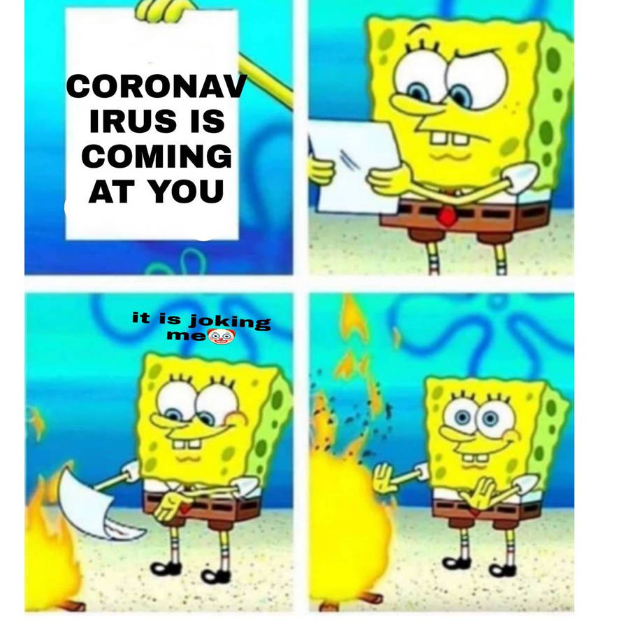obpl0.jpg