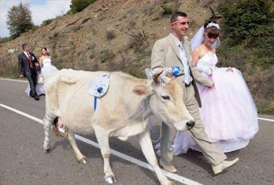funny-wedding-53.jpg