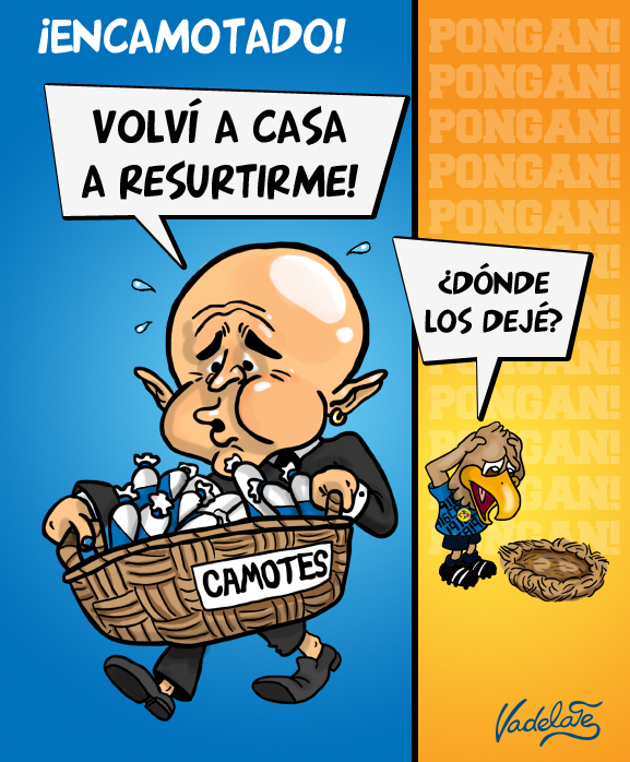 ENCAMOTADO.jpg