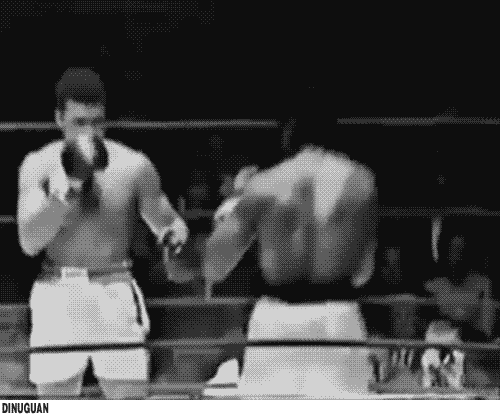 tumblr_m1zyxkQ4e91qa9yvvo1_r1_500.gif