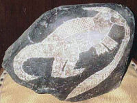 12a.jpg