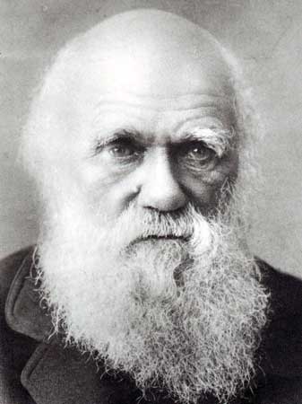 darwin_51.jpg