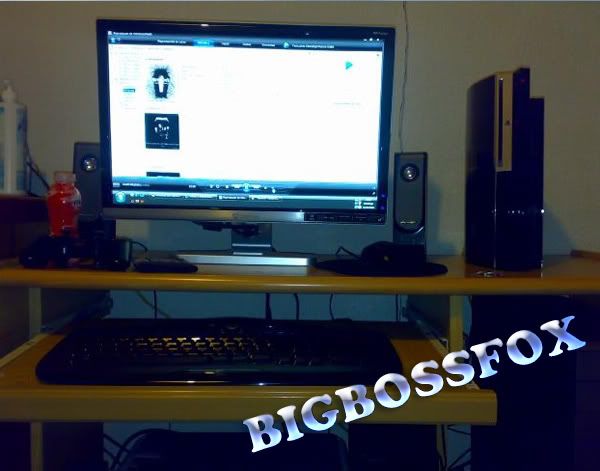 BIGBOSSFOX.jpg