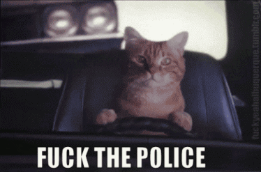tumblr_lyncm0NzSn1rovj2jo1_400.gif