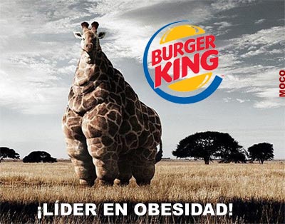 burguerking_moco.jpg