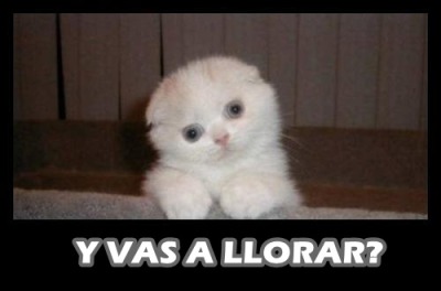 tumblr_lcxvjq7fwm1qd26m9o1_400.jpg