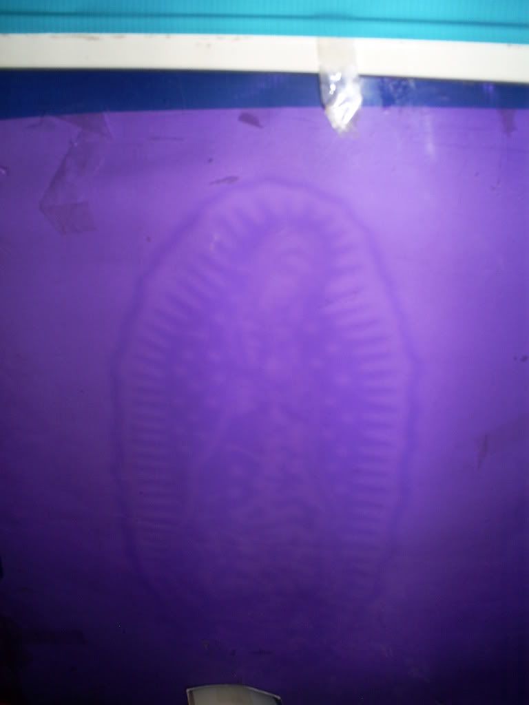 S5030019.jpg