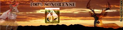 bannersonorensemx-1.jpg