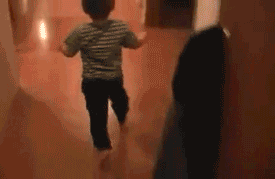 tumblr_m1bkwiRNeD1roq1dvo1_400.gif