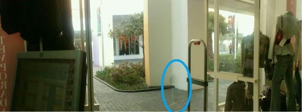 niafantasma.jpg