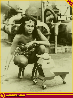 ww0132.jpg