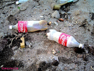 coca1.jpg