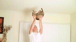 tumblr_lzhzbqCHBK1qa7aydo7_250.gif