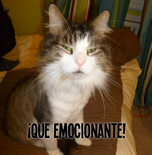 emocion.png