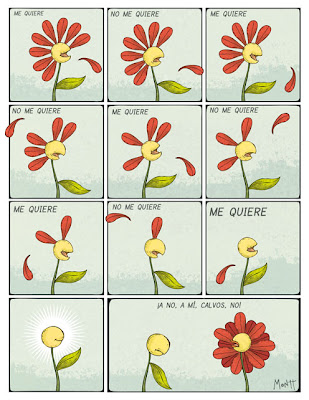 flor-calva.jpg