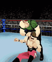 46089_176_208_2.gif